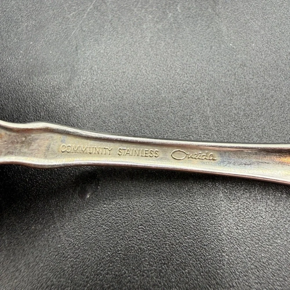 Vintage Oneida Louisiana Place Soup Spoon Set of 4 Stainless Steel Floral Boho
